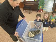 Zvířátka v MŠ - Motýlci